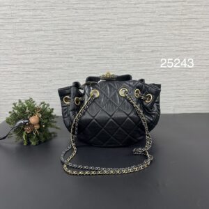 CHANEL 19系列餃子包(25243)