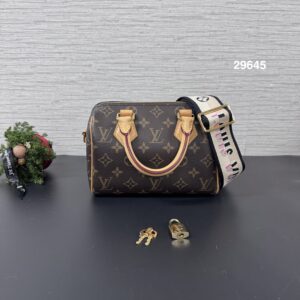 LOUIS VUITTON Speedy20(29645)